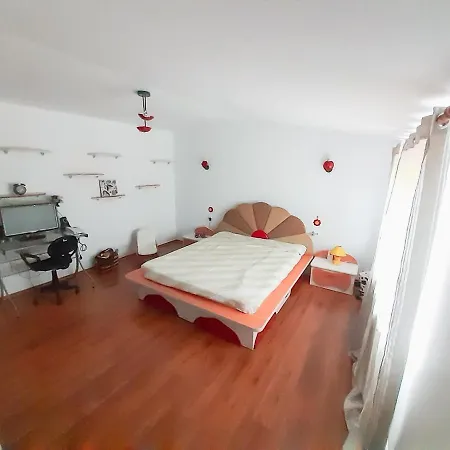 B&B Myr House *